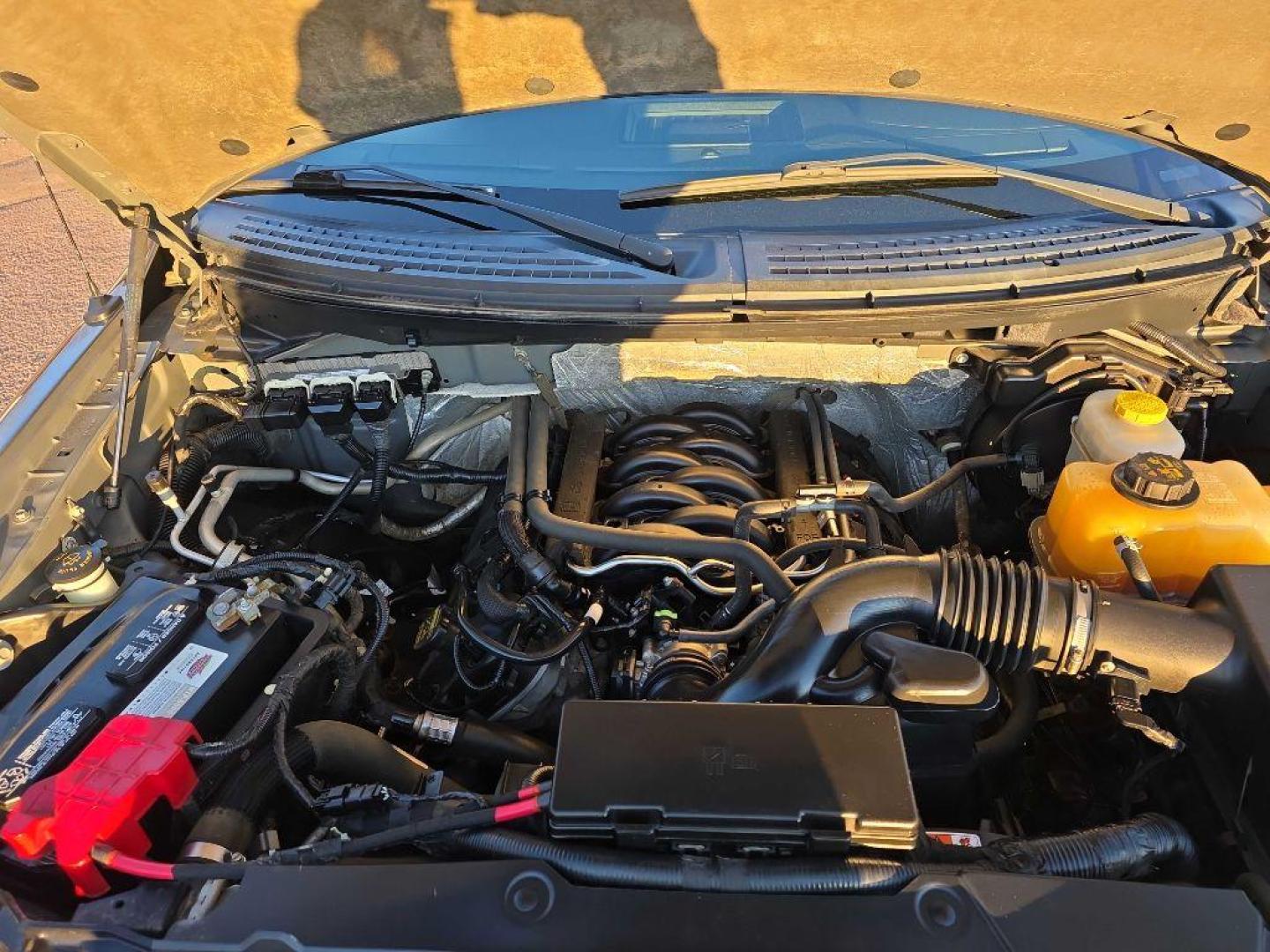 2014 BRONZE FORD F150 SUPERCREW (1FTFW1EF3EF) with an 5.0L engine, Automatic transmission, located at 495 Old Highway 20 West, South Sioux City, NE, 68776, (402) 494-2677, 42.458408, -96.443512 - Photo#14