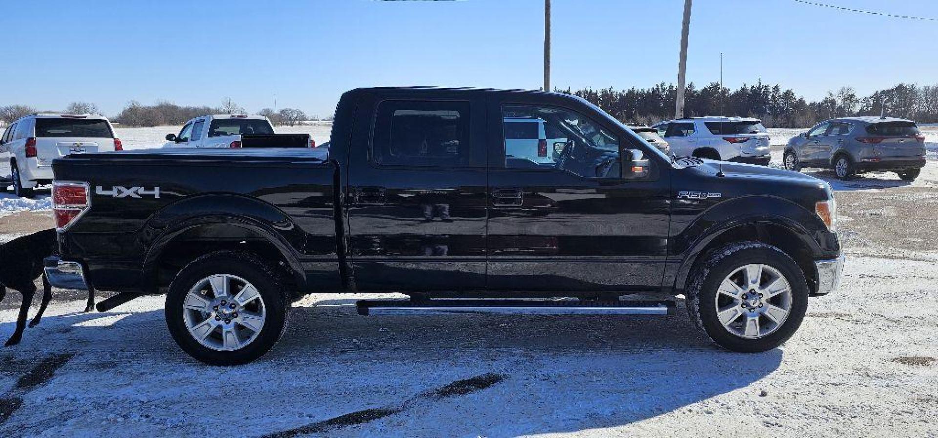 2013 BLACK FORD F150 SUPERCREW (1FTFW1EF7DK) with an 5.0L engine, Automatic transmission, located at 495 Old Highway 20 West, South Sioux City, NE, 68776, (402) 494-2677, 42.458408, -96.443512 - Photo#3