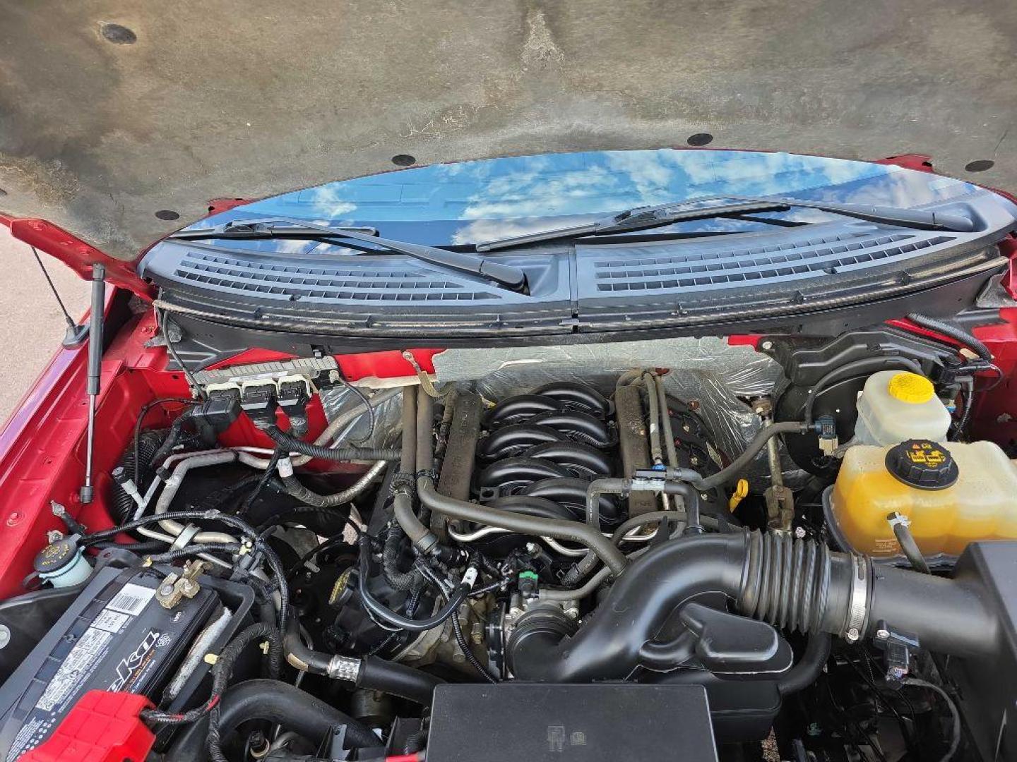 2014 RED FORD F150 SUPERCREW (1FTFW1EF4EK) with an 5.0L engine, Automatic transmission, located at 495 Old Highway 20 West, South Sioux City, NE, 68776, (402) 494-2677, 42.458408, -96.443512 - Photo#17