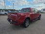 2014 RED FORD F150 SUPERCREW (1FTFW1EF4EK) with an 5.0L engine, Automatic transmission, located at 495 Old Highway 20 West, South Sioux City, NE, 68776, (402) 494-2677, 42.458408, -96.443512 - Photo#3