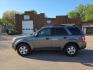 2009 GREY FORD ESCAPE XLT (1FMCU93GX9K) with an 3.0L engine, Automatic transmission, located at 495 Old Highway 20 West, South Sioux City, NE, 68776, (402) 494-2677, 42.458408, -96.443512 - Photo#1