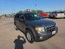 2009 GREY FORD ESCAPE XLT (1FMCU93GX9K) with an 3.0L engine, Automatic transmission, located at 495 Old Highway 20 West, South Sioux City, NE, 68776, (402) 494-2677, 42.458408, -96.443512 - Photo#5