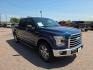 2015 BLUE FORD F150 SUPERCREW (1FTEW1EP9FK) with an 2.7L engine, Automatic transmission, located at 495 Old Highway 20 West, South Sioux City, NE, 68776, (402) 494-2677, 42.458408, -96.443512 - Photo#5