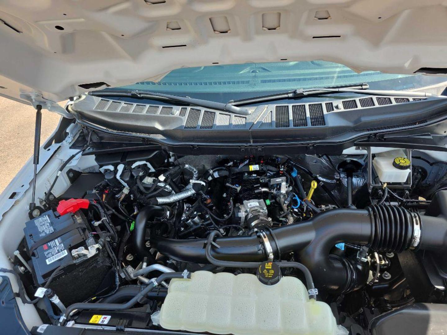 2023 WHITE FORD F150 (1FTMF1EP6PK) with an 2.7L engine, Automatic transmission, located at 495 Old Highway 20 West, South Sioux City, NE, 68776, (402) 494-2677, 42.458408, -96.443512 - Photo#22