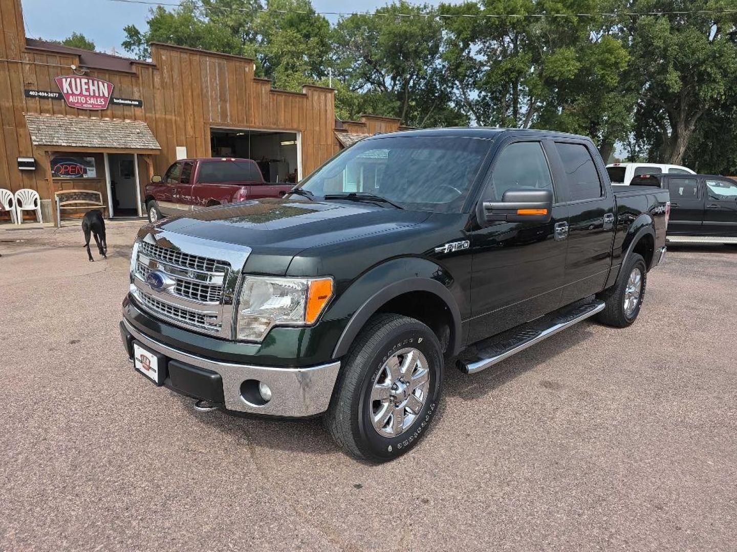 2013 GREEN FORD F150 SUPERCREW (1FTFW1EFXDK) with an 5.0L engine, Automatic transmission, located at 495 Old Highway 20 West, South Sioux City, NE, 68776, (402) 494-2677, 42.458408, -96.443512 - Photo#0