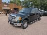 2013 GREEN FORD F150 SUPERCREW (1FTFW1EFXDK) with an 5.0L engine, Automatic transmission, located at 495 Old Highway 20 West, South Sioux City, NE, 68776, (402) 494-2677, 42.458408, -96.443512 - Photo#0