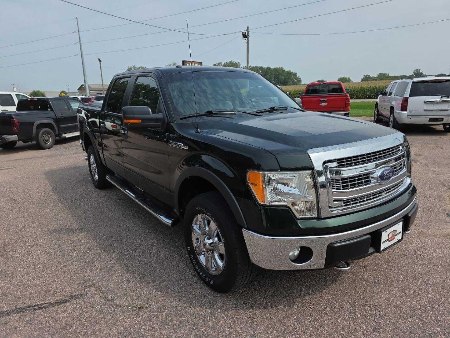 2013 GREEN FORD F150 SUPERCREW (1FTFW1EFXDK) with an 5.0L engine, Automatic transmission, located at 495 Old Highway 20 West, South Sioux City, NE, 68776, (402) 494-2677, 42.458408, -96.443512 - Photo#5