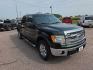 2013 GREEN FORD F150 SUPERCREW (1FTFW1EFXDK) with an 5.0L engine, Automatic transmission, located at 495 Old Highway 20 West, South Sioux City, NE, 68776, (402) 494-2677, 42.458408, -96.443512 - Photo#5