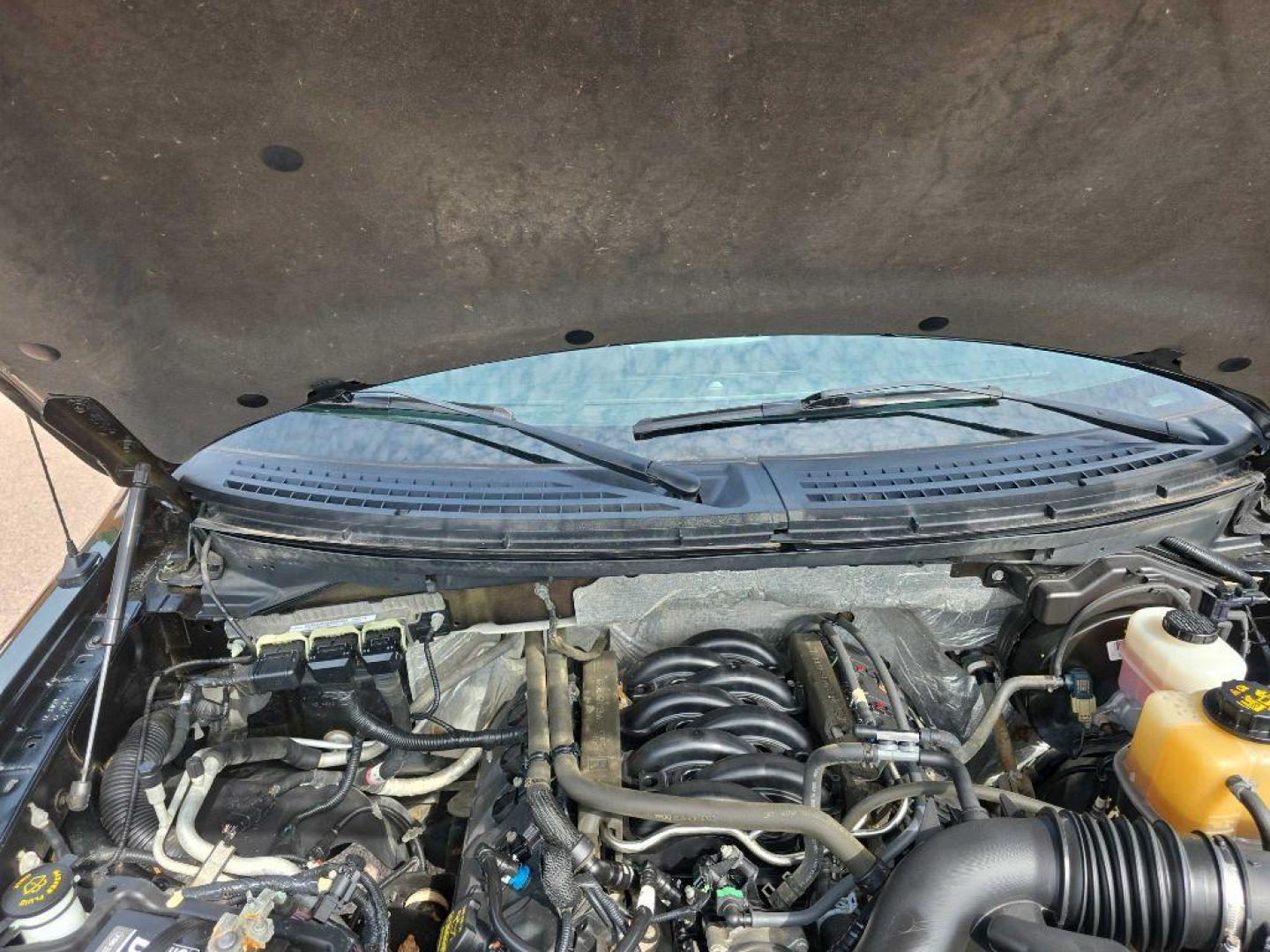 2013 GREEN FORD F150 SUPERCREW (1FTFW1EFXDK) with an 5.0L engine, Automatic transmission, located at 495 Old Highway 20 West, South Sioux City, NE, 68776, (402) 494-2677, 42.458408, -96.443512 - Photo#15