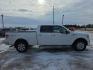 2011 WHITE FORD F150 SUPERCREW (1FTFW1ET4BF) with an 3.5L engine, Automatic transmission, located at 495 Old Highway 20 West, South Sioux City, NE, 68776, (402) 494-2677, 42.458408, -96.443512 - Photo#4