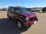 2002 MAROON JEEP LIBERTY LIMITED (1J4GL58K62W) with an 3.7L engine, Automatic transmission, located at 495 Old Highway 20 West, South Sioux City, NE, 68776, (402) 494-2677, 42.458408, -96.443512 - Photo#5