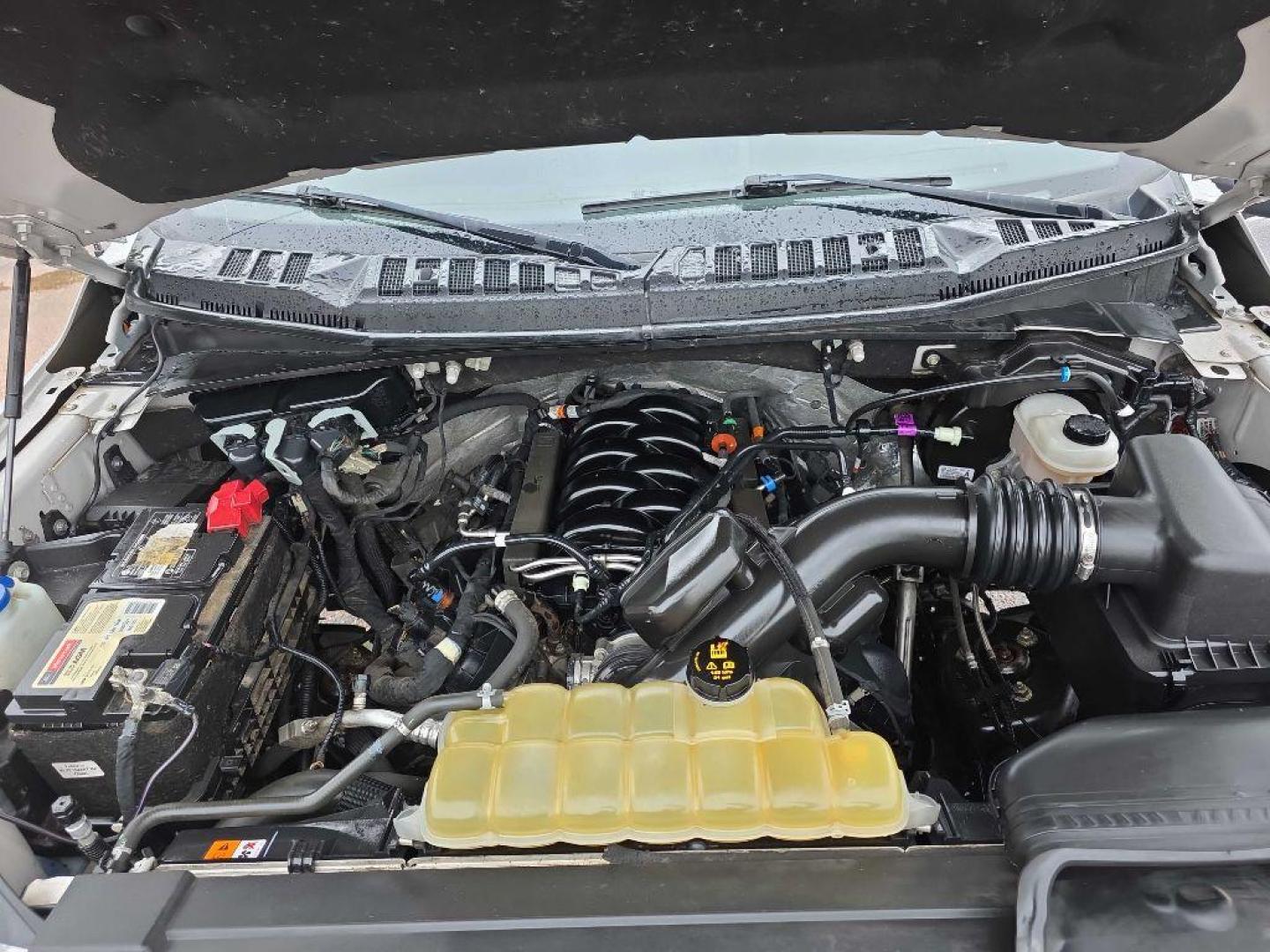 2019 SILVER FORD F150 SUPER CAB (1FTFX1E57KK) with an 5.0L engine, Automatic transmission, located at 495 Old Highway 20 West, South Sioux City, NE, 68776, (402) 494-2677, 42.458408, -96.443512 - Photo#14
