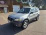 2007 SILVER FORD ESCAPE XLT (1FMYU93157K) with an 3.0L engine, Automatic transmission, located at 495 Old Highway 20 West, South Sioux City, NE, 68776, (402) 494-2677, 42.458408, -96.443512 - Photo#0