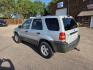 2007 SILVER FORD ESCAPE XLT (1FMYU93157K) with an 3.0L engine, Automatic transmission, located at 495 Old Highway 20 West, South Sioux City, NE, 68776, (402) 494-2677, 42.458408, -96.443512 - Photo#2