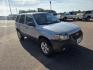 2007 SILVER FORD ESCAPE XLT (1FMYU93157K) with an 3.0L engine, Automatic transmission, located at 495 Old Highway 20 West, South Sioux City, NE, 68776, (402) 494-2677, 42.458408, -96.443512 - Photo#4