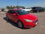 2015 RED FORD FOCUS SE (1FADP3F21FL) with an 2.0L engine, Automatic transmission, located at 495 Old Highway 20 West, South Sioux City, NE, 68776, (402) 494-2677, 42.458408, -96.443512- Photo#7